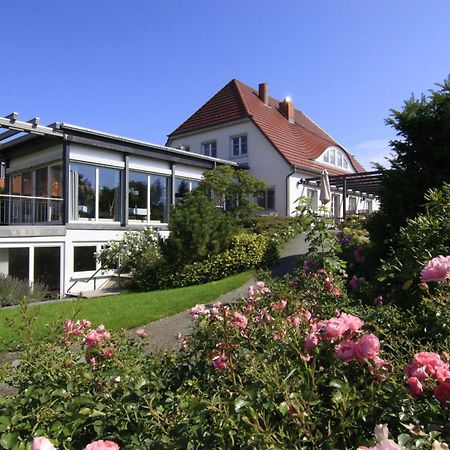 H.W.S. Hotel Der Wilde Schwan Sagard Extérieur photo