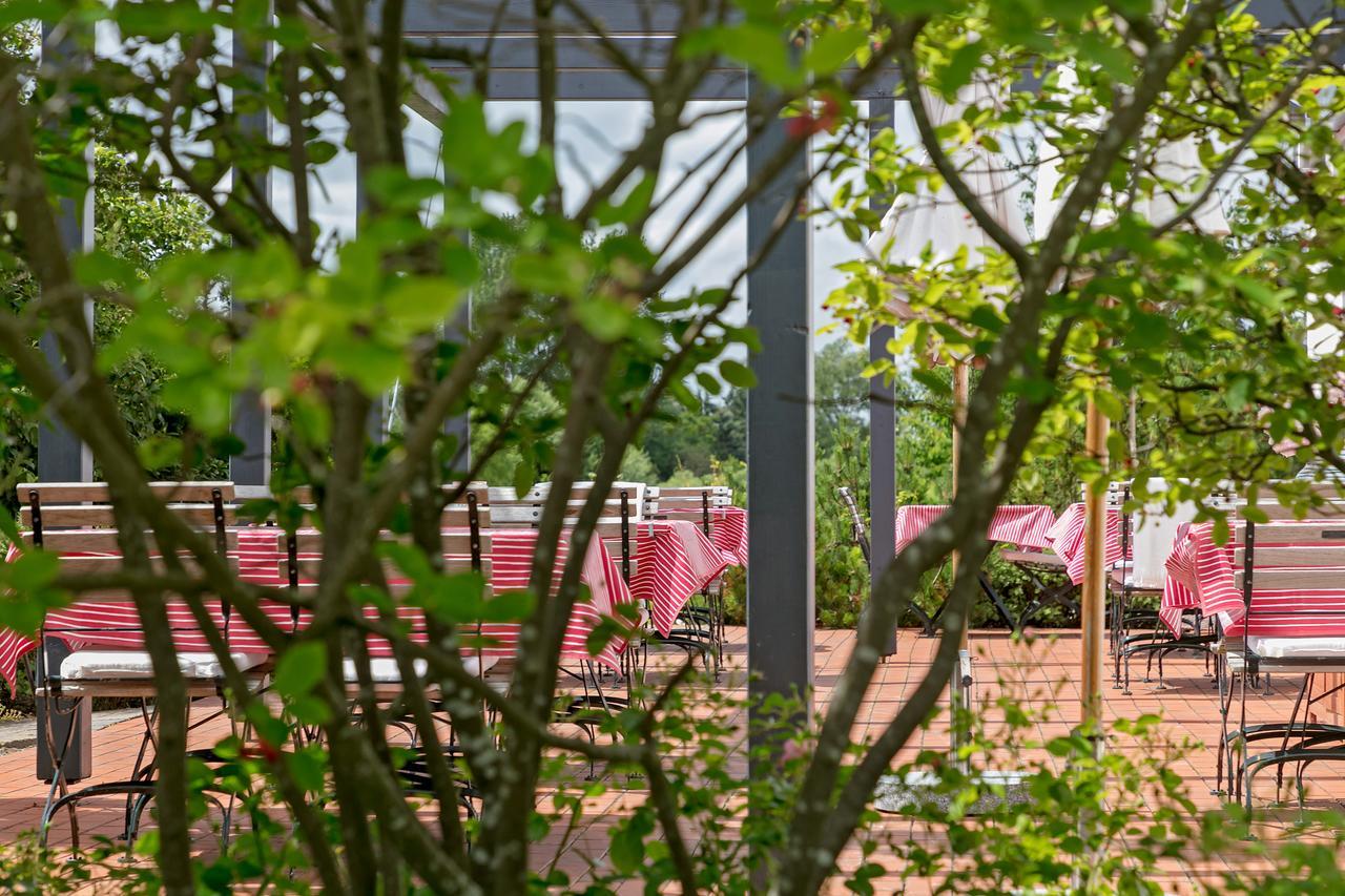 H.W.S. Hotel Der Wilde Schwan Sagard Extérieur photo
